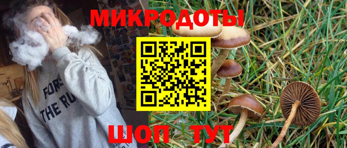 Асино  Галлюциногенные грибы ЛСД  Вход с VPN 